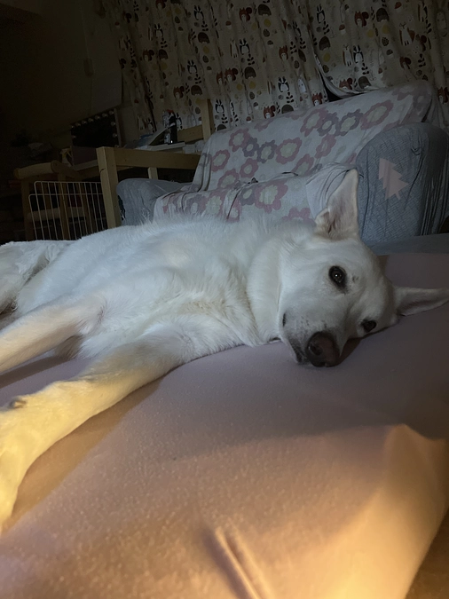 協力有難うございます‼️