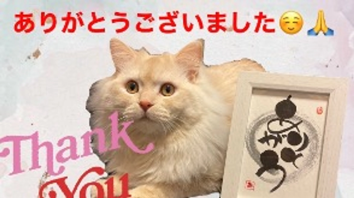 本日23時でクラファンが終了しました！