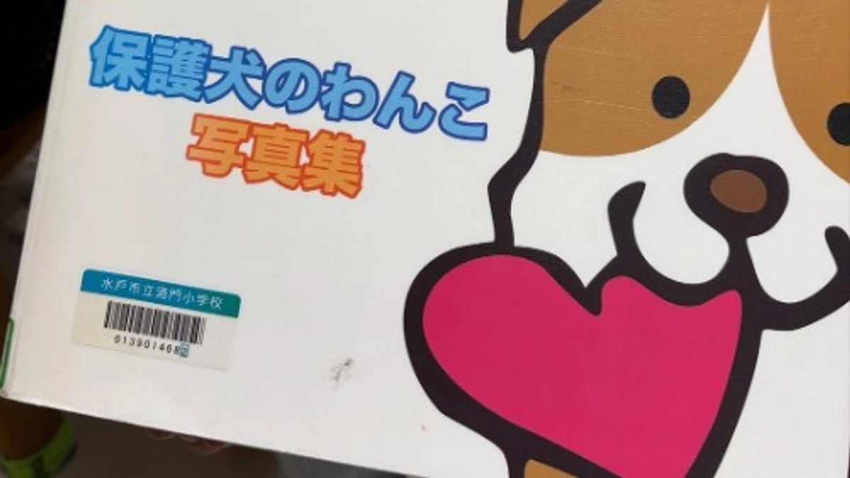 初めてのクラファンは「写真集」でした！