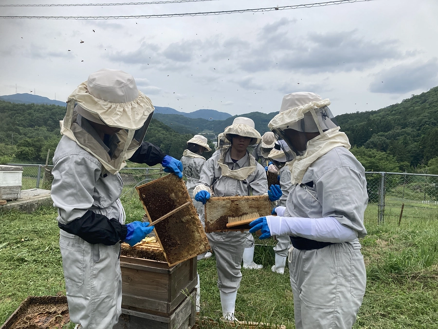 大阪府立豊中高等学校能勢分校 総合学科