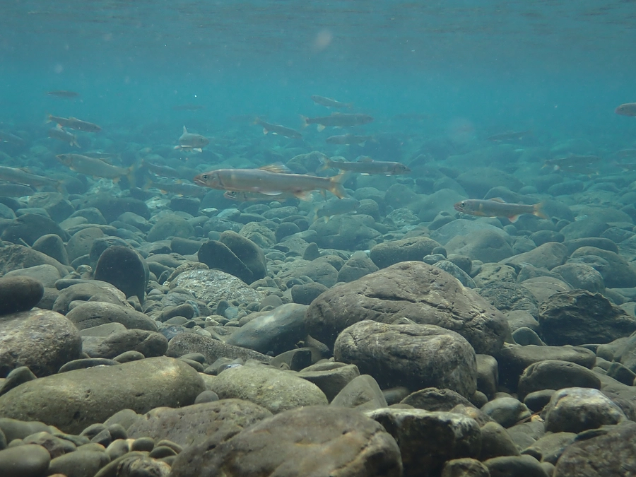 少しずつデータをまとめています