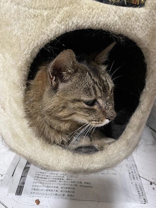 沢山の応援・御支援ありがとうございました！！