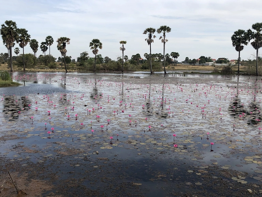 タイル貼りがほぼ完成