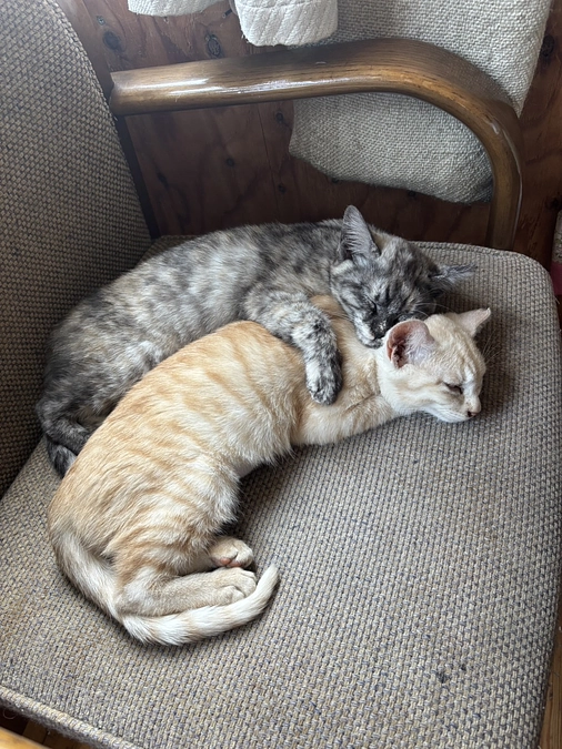 正式譲渡となりました