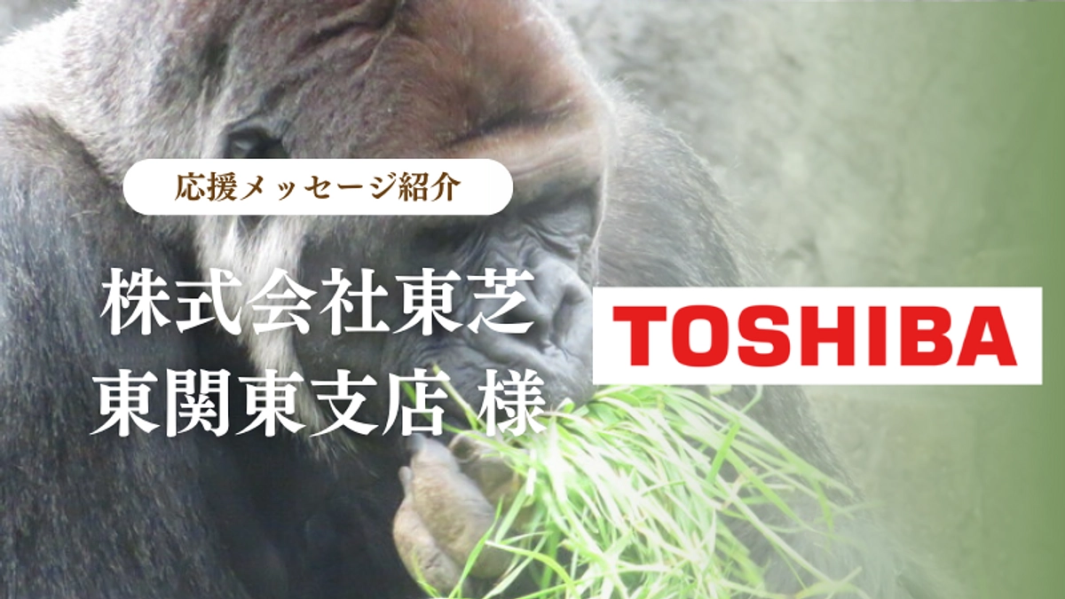 株式会社東芝　東関東支店様からの応援メッセージのご紹介