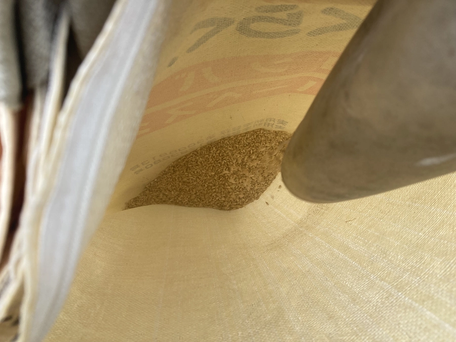 リターン準備〜その５。　稲こき（脱穀）始まりました！