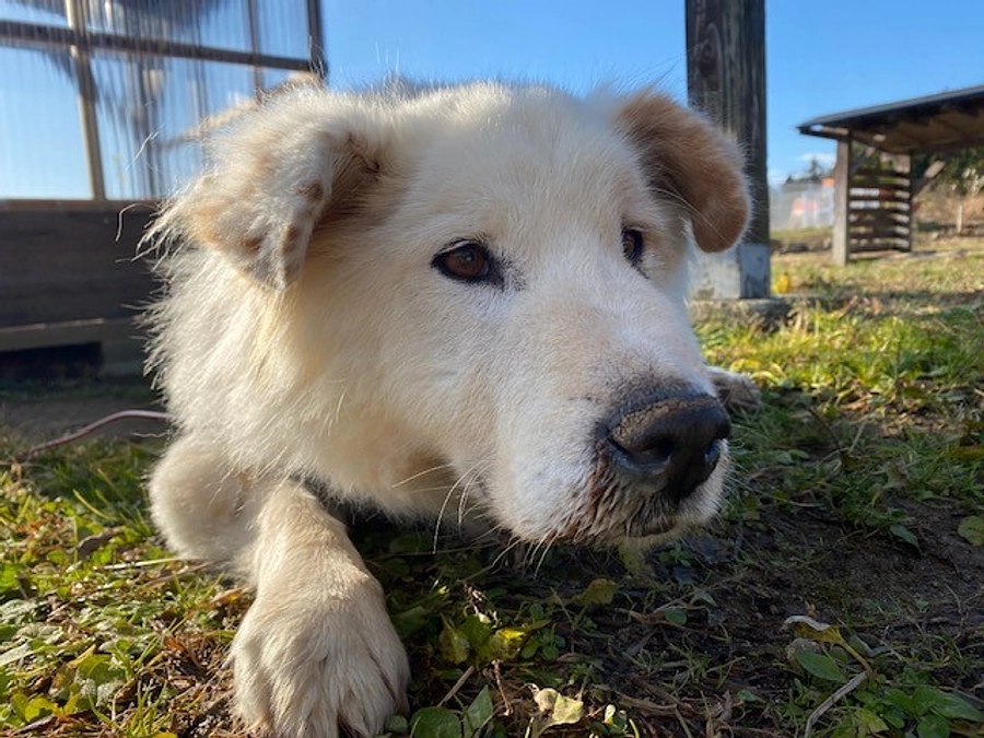 【ご報告】新聞掲載のお知らせ