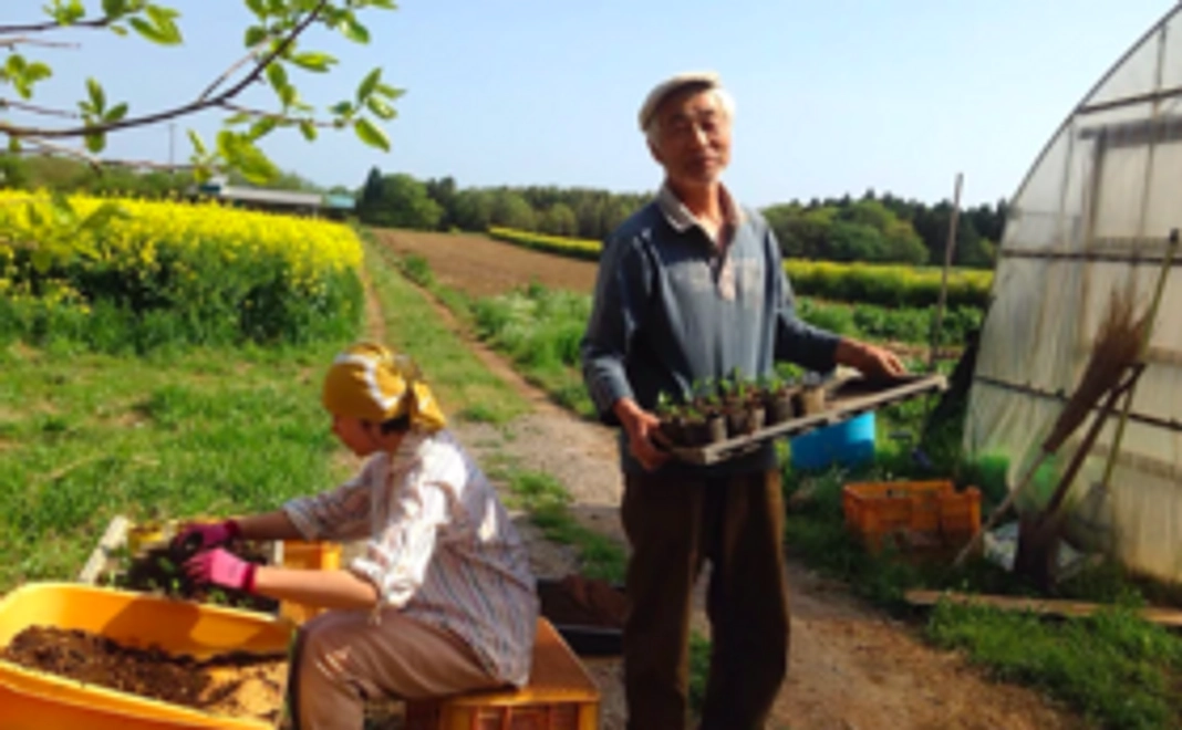 【ミルパの畑を体験しよう！】