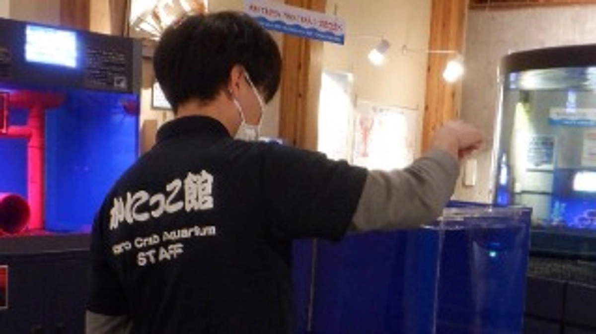 スタッフ紹介（ヨッシー編）