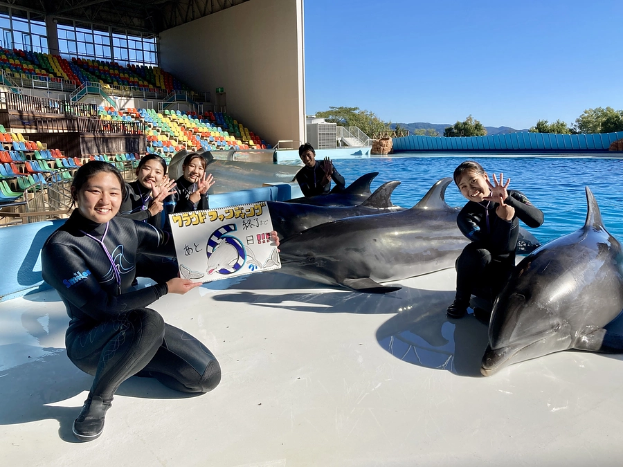 【残り6日！】アドベンチャーワールドスタッフとともにカウントダウンスタート！