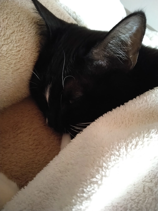 2/22はなちゃんの様子