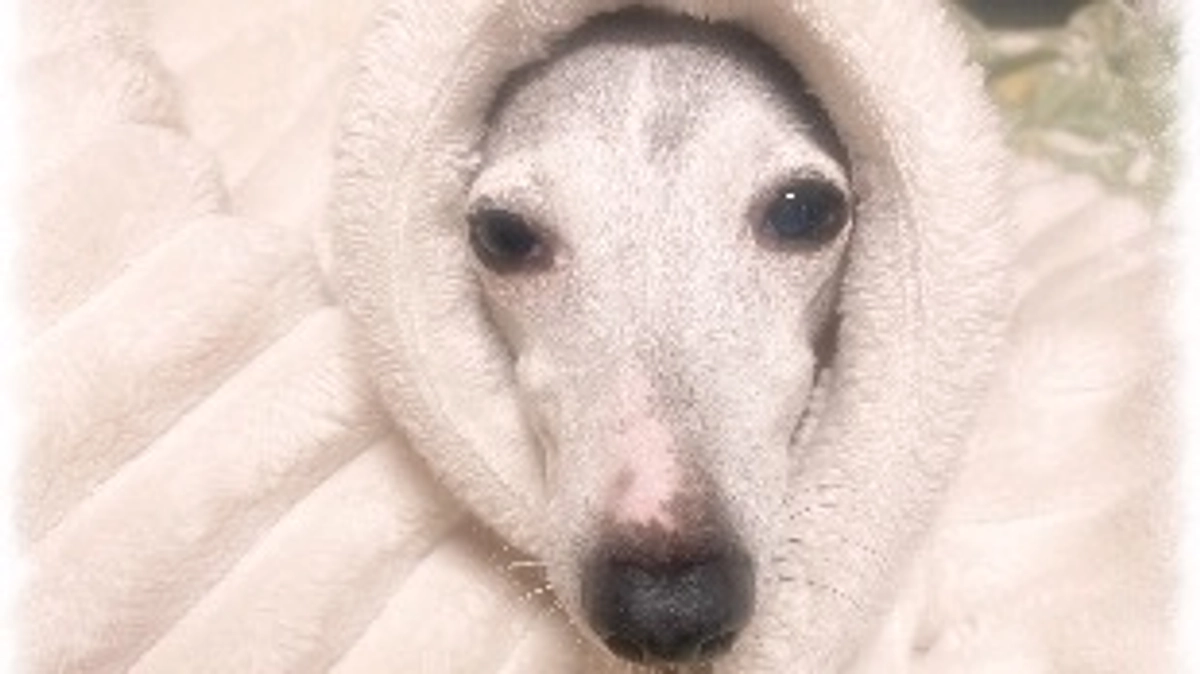 残り10日🗓️達成率14%⏰💦