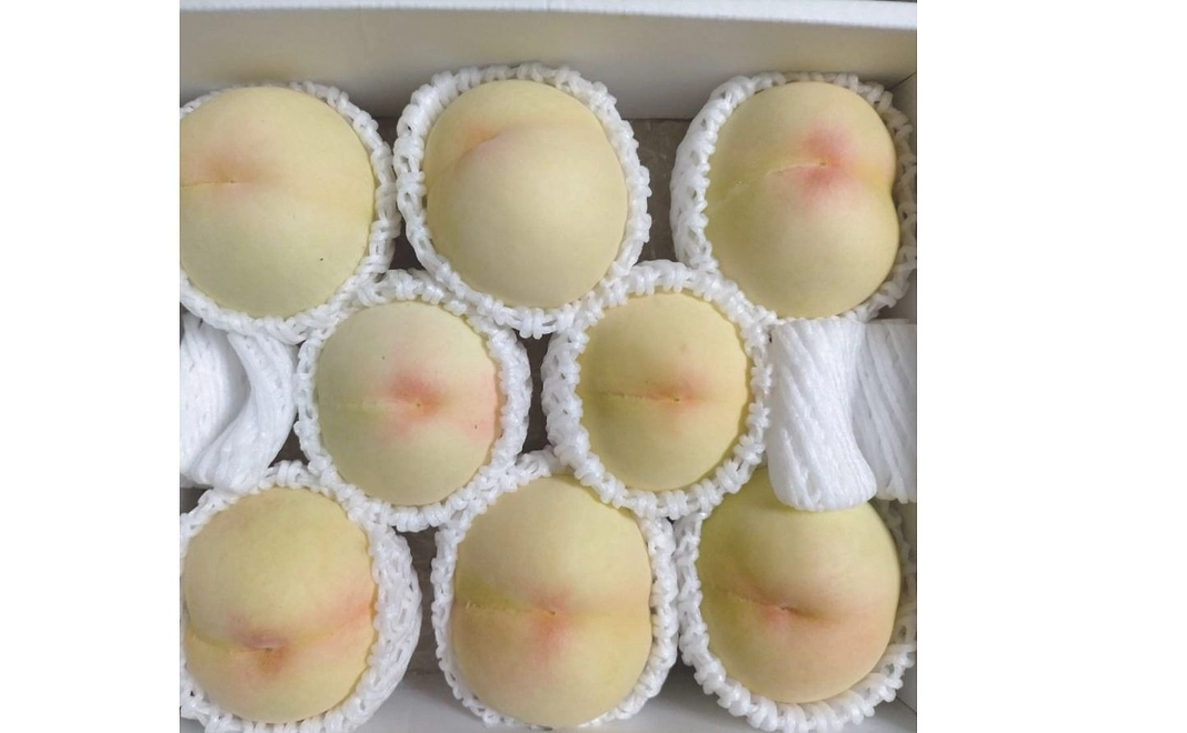 清水白桃（2キロ箱：8～9玉入り）【家庭用】