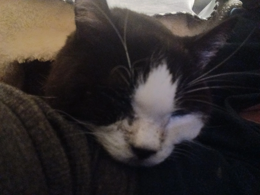 腫瘍外来でした、、、