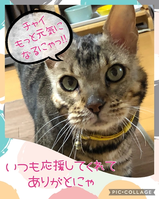 退院から1ヶ月経ちました