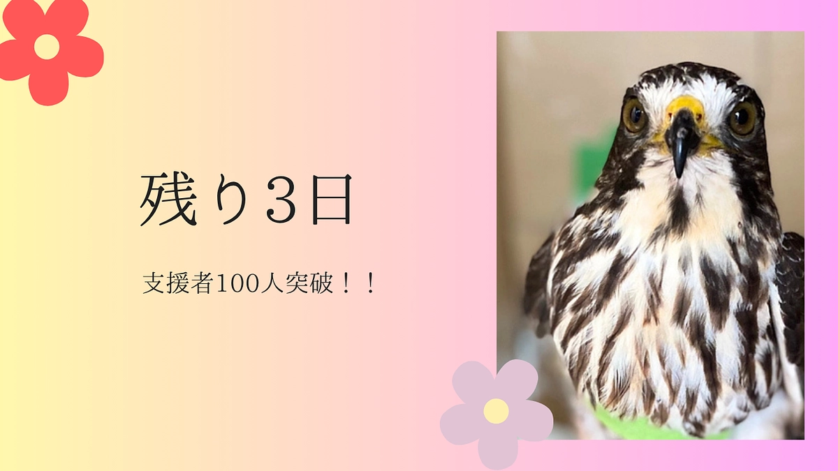 【残り3日／達成率88％／支援者100人突破！】