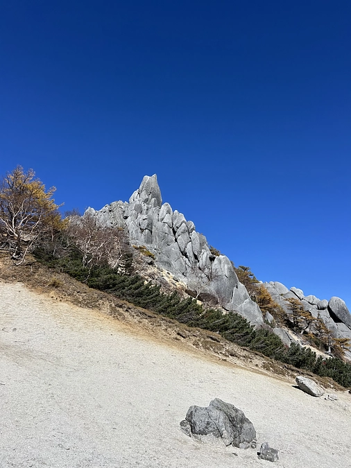 返礼品発送の準備が整いました