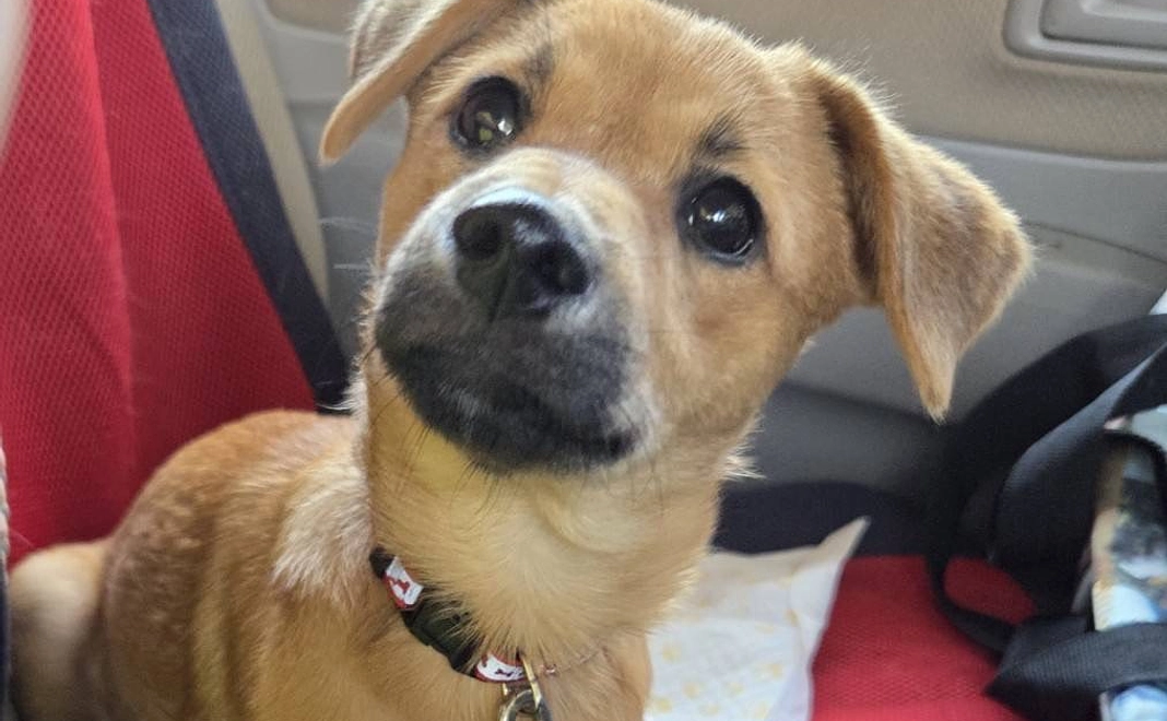 【リターン不要の方向け】全力応援コース｜3千円