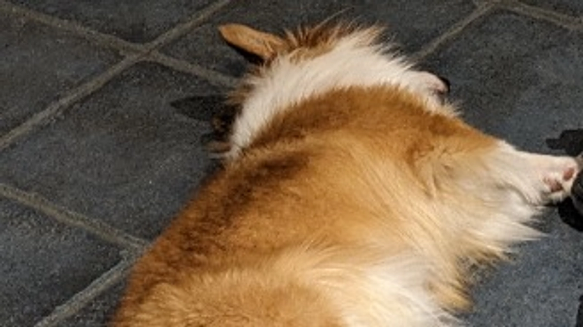 達成率60%まできました✨