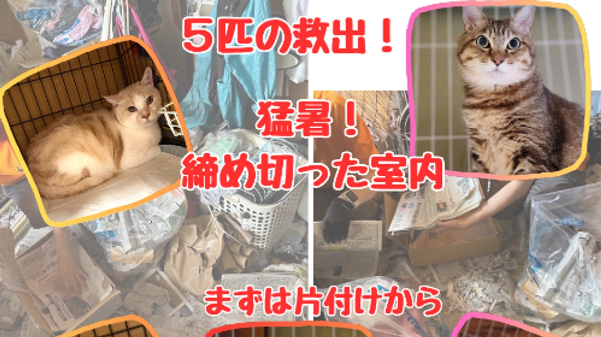 ７月も終わりました！