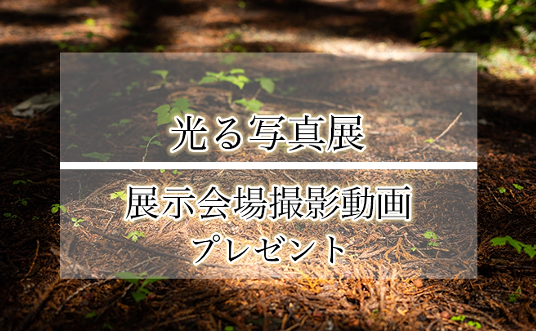 写真展会場を撮影した動画データプレゼント