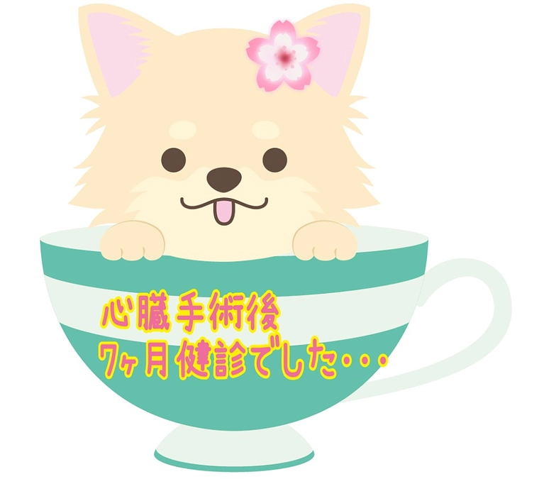 心臓手術後 7ヶ月検診でした…