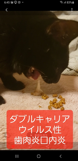 ダブルキャリアウイルス性歯肉炎口内炎