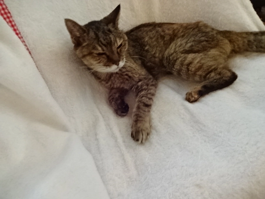 diary Vol.69　しまちゃん日誌。