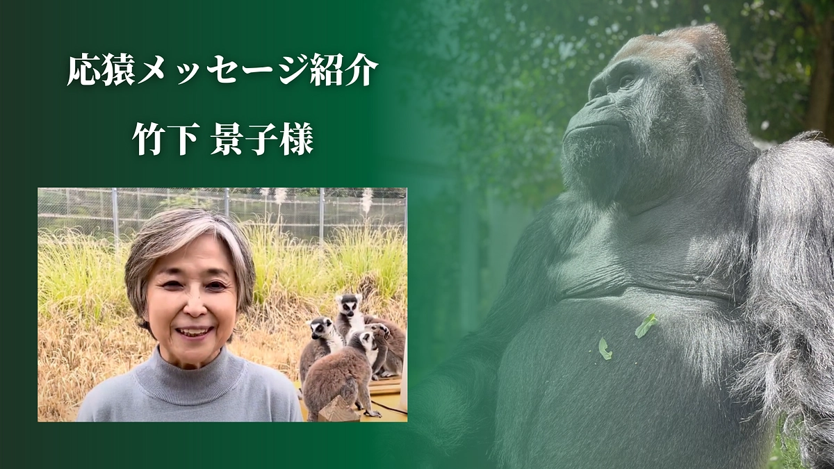 【クラファン活動報告⑤】親善大使の竹下景子さんより、応猿メッセージをいただきました！