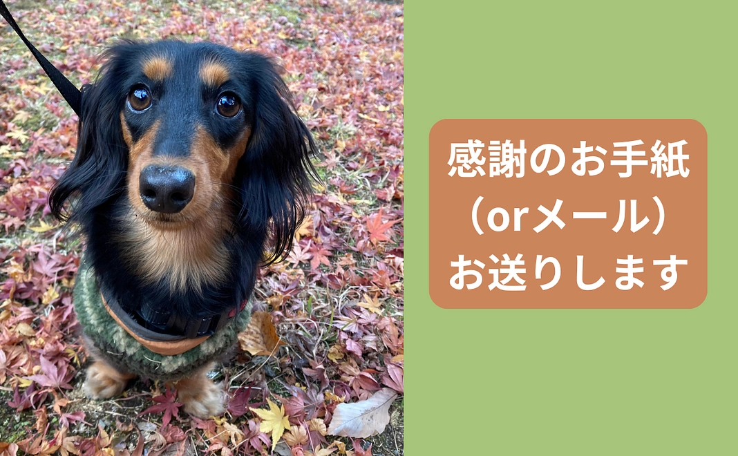 感謝のお手紙2（住所をお知らせ頂くことに抵抗がある方はメールで御礼させて頂きます）