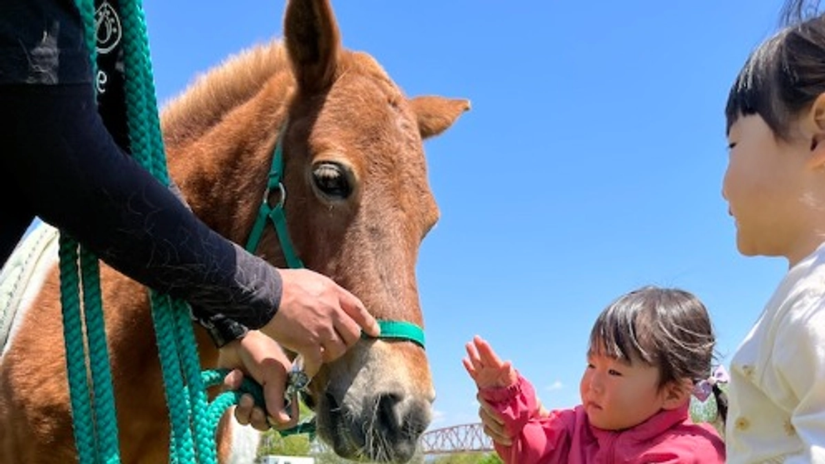 馬たちの紹介 その2