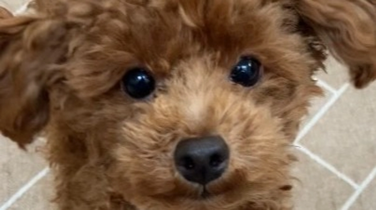 残り6日となりました。みなさん、いつもありがとうございます。