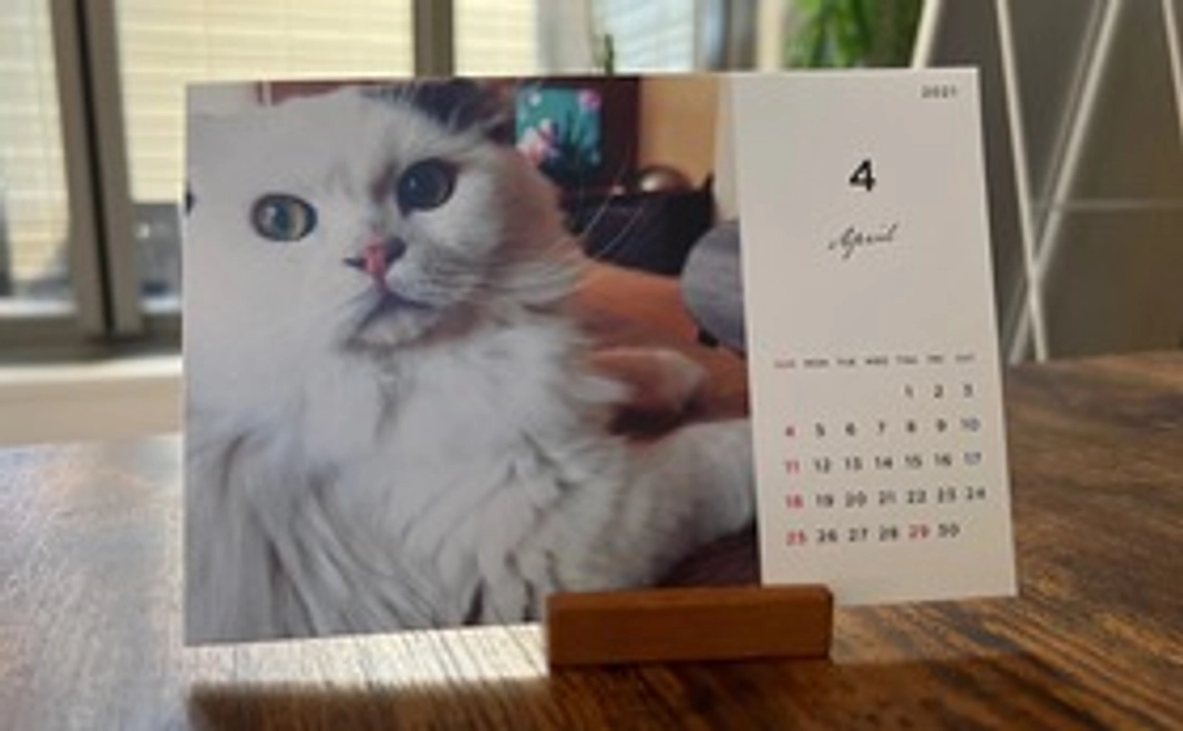 感謝のメール、モコタの卓上カレンダー、写真5枚