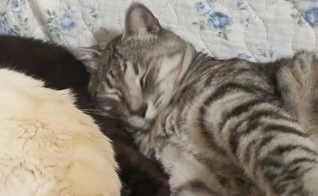 リターン不要の方はこちら