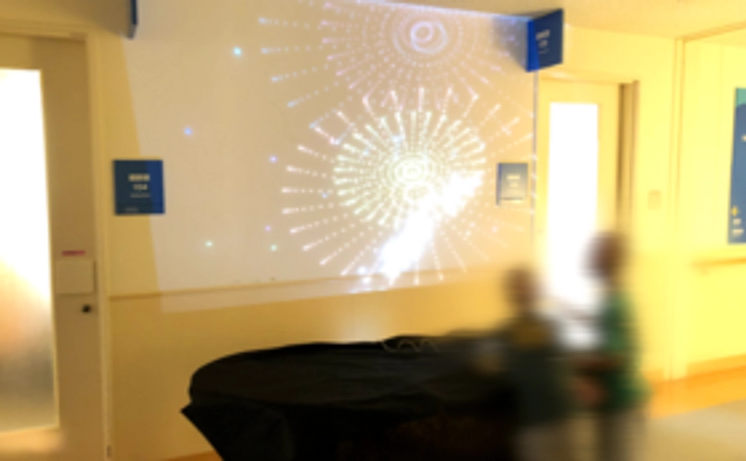 ”スペシャルサンクス”Webサイトなどでの御芳名の掲載。報告レポート(PDF)の送付。