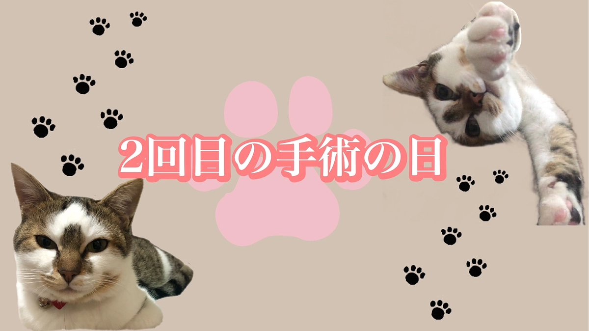 2回目の手術の日🏥