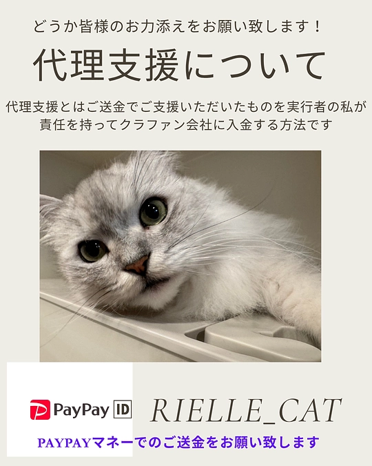 代理支援を始めました