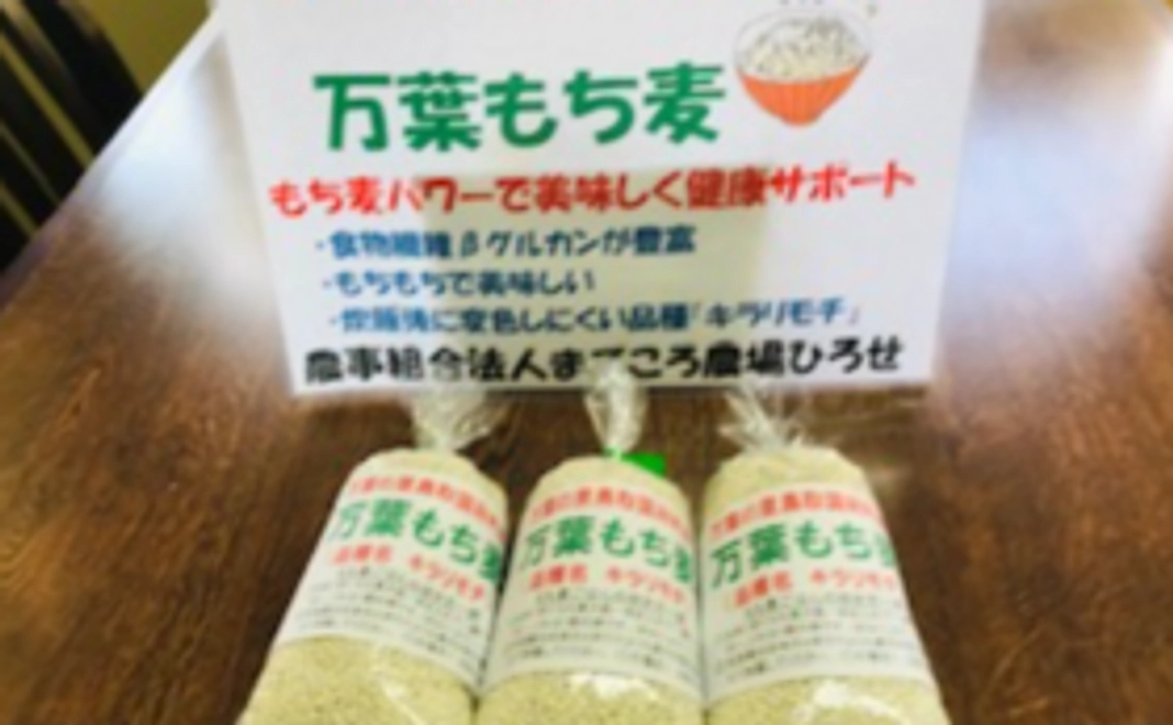 万葉のもち麦又ははちみつセット