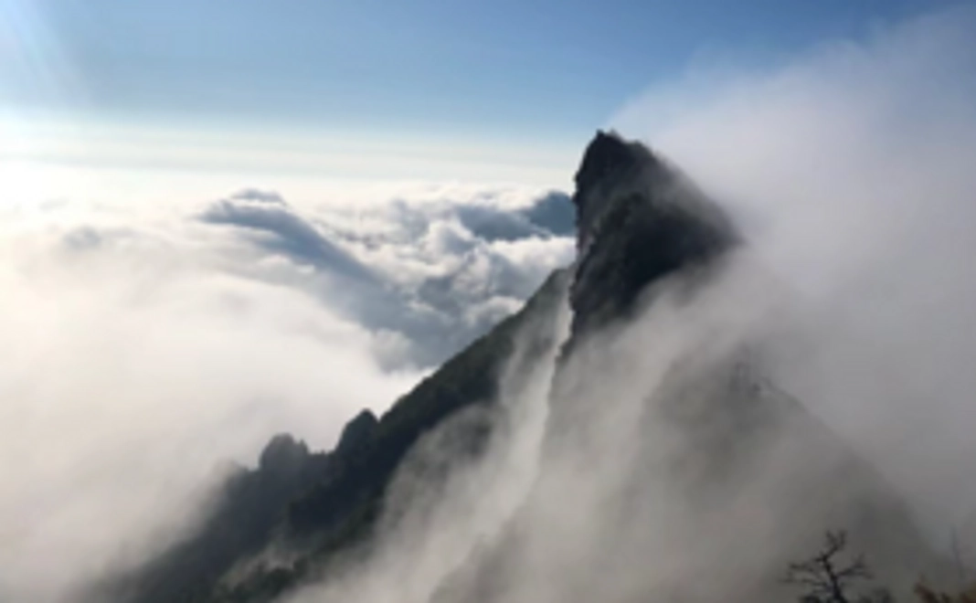 ～ただただ応援したい～