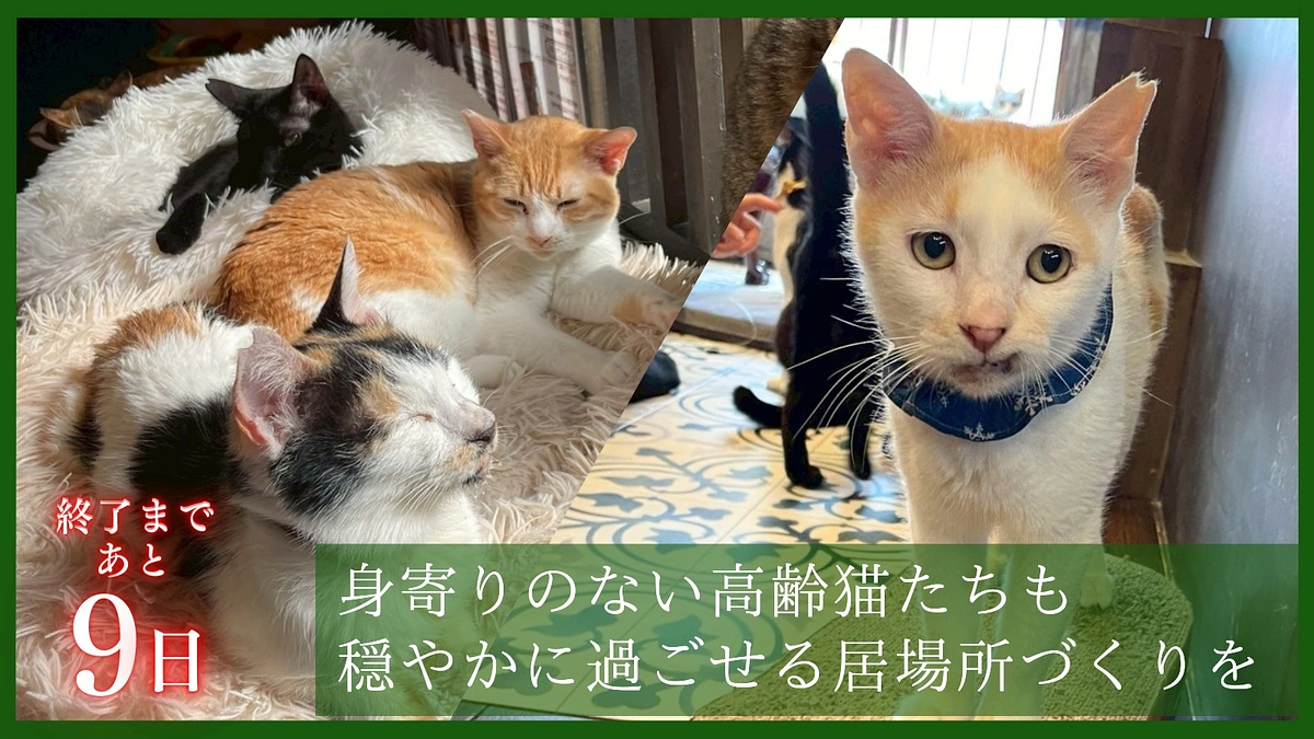 400万円まであと少し‼