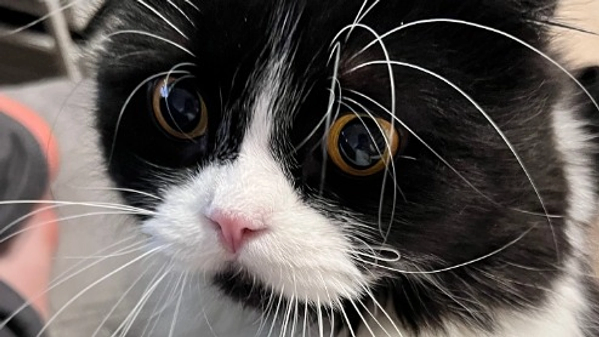 ご支援くださった皆様、応援下さったみなさまへ