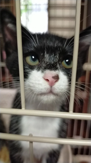 中間支出のご報告と現在の状況報告