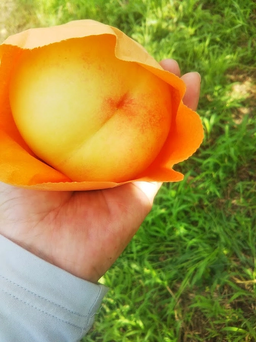 プロジェクトは残り1日となりました！