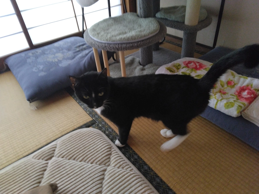 4/1はなちゃんの様子