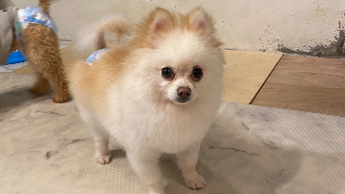 クラファン開始から4日が経ちました！