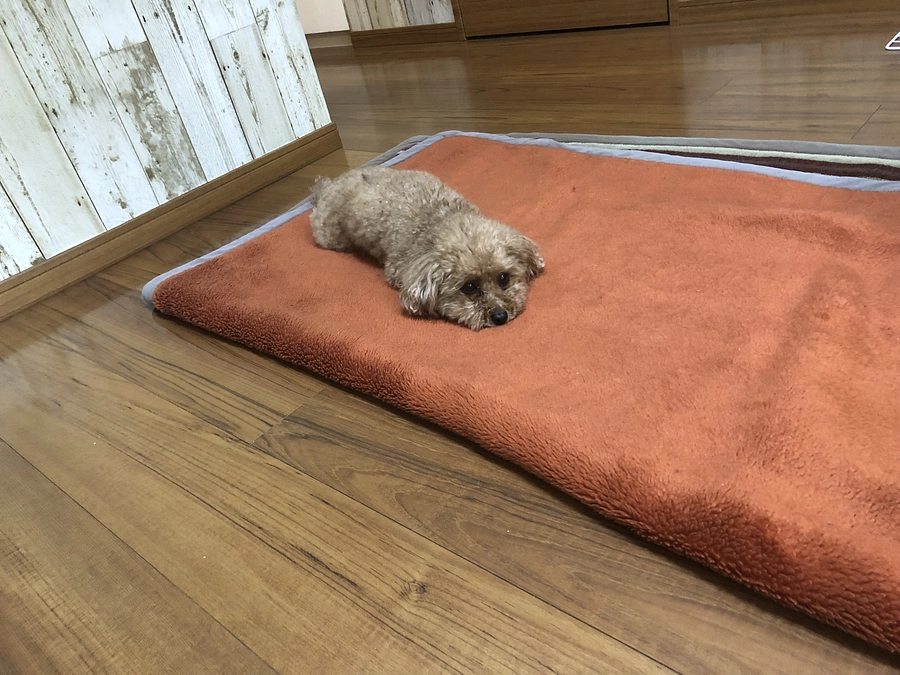 インスタグラムも更新しています！