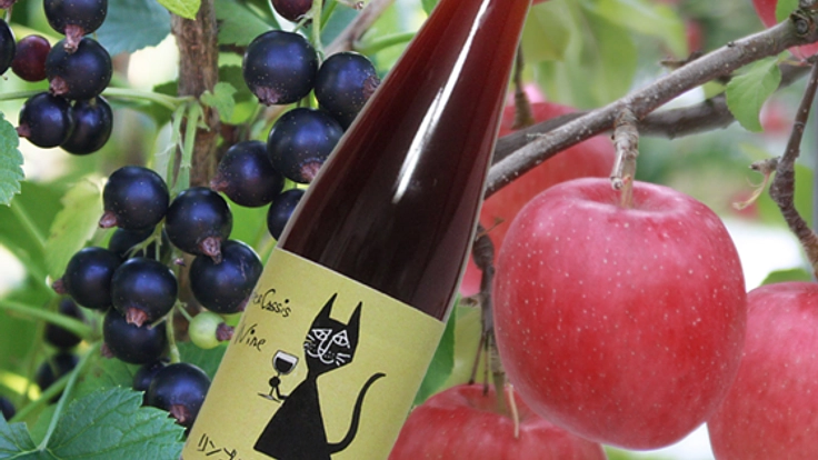 青森のカシスを全国に！りんごとカシスでワインを作りたい！