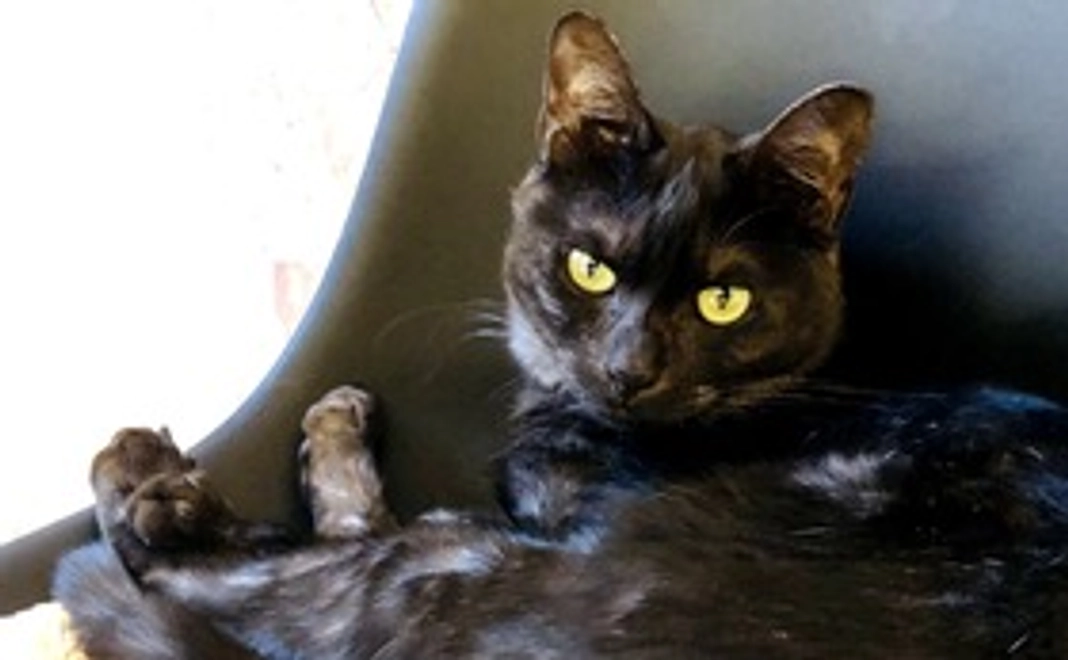 ノア！まだまだ頑張れるぞ！