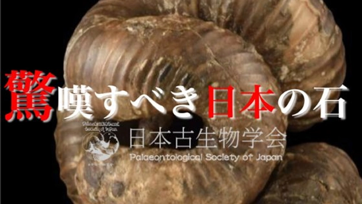 日本代表の古生物-ニッポニテス-3D化PJ　彼らの魅力を全世界へ！