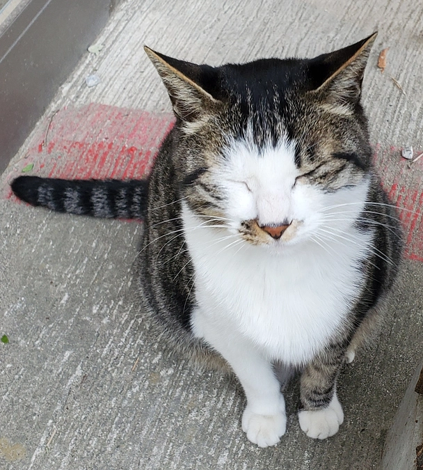 本日23時終了！昨日の生配信動画のアーカイブURLご紹介